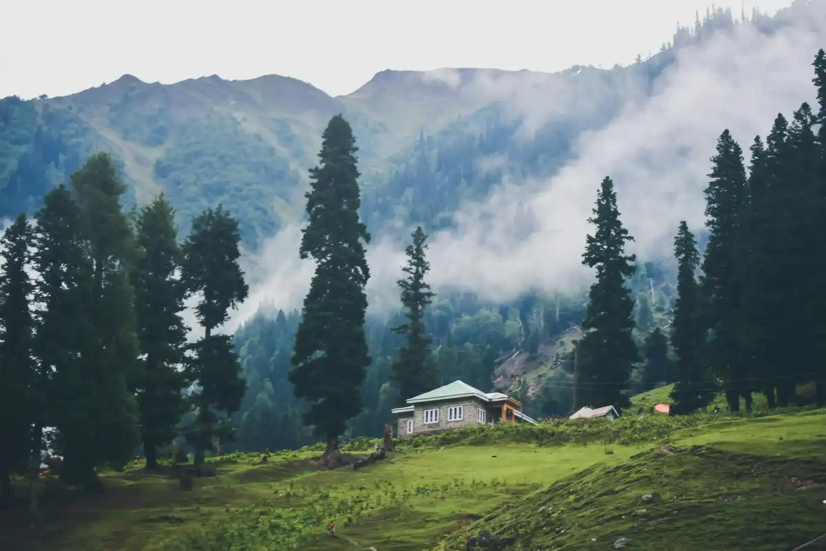 Kashmir