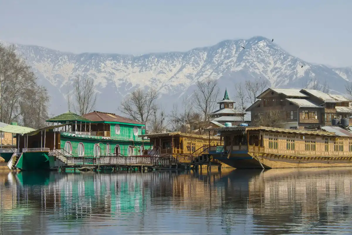 kashmir